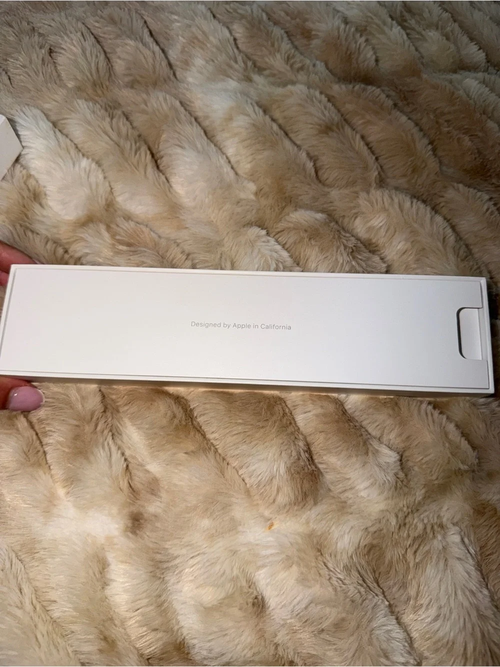 Apple Pencil for iPad models with lightning connector